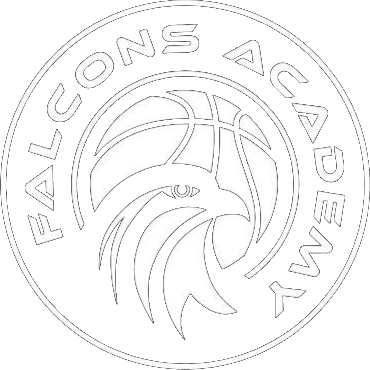 Falcons Academy logo