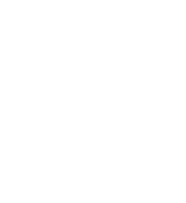 NEOM S.C. logo