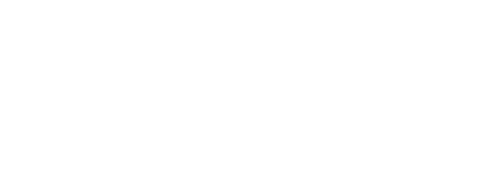 Saudi Arabian Football Federation logo
